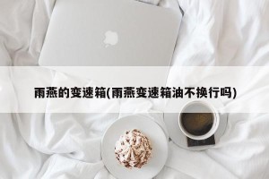 雨燕的变速箱(雨燕变速箱油不换行吗)