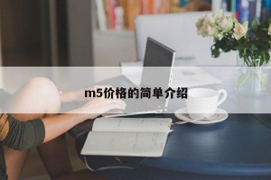 m5价格的简单介绍