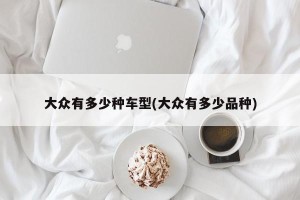 大众有多少种车型(大众有多少品种)