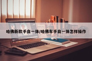 哈佛新款手自一体/哈佛车手自一体怎样操作