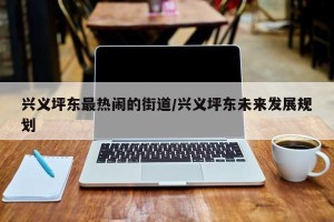兴义坪东最热闹的街道/兴义坪东未来发展规划