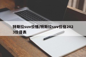 特斯拉suv价格/特斯拉suv价格2023价目表